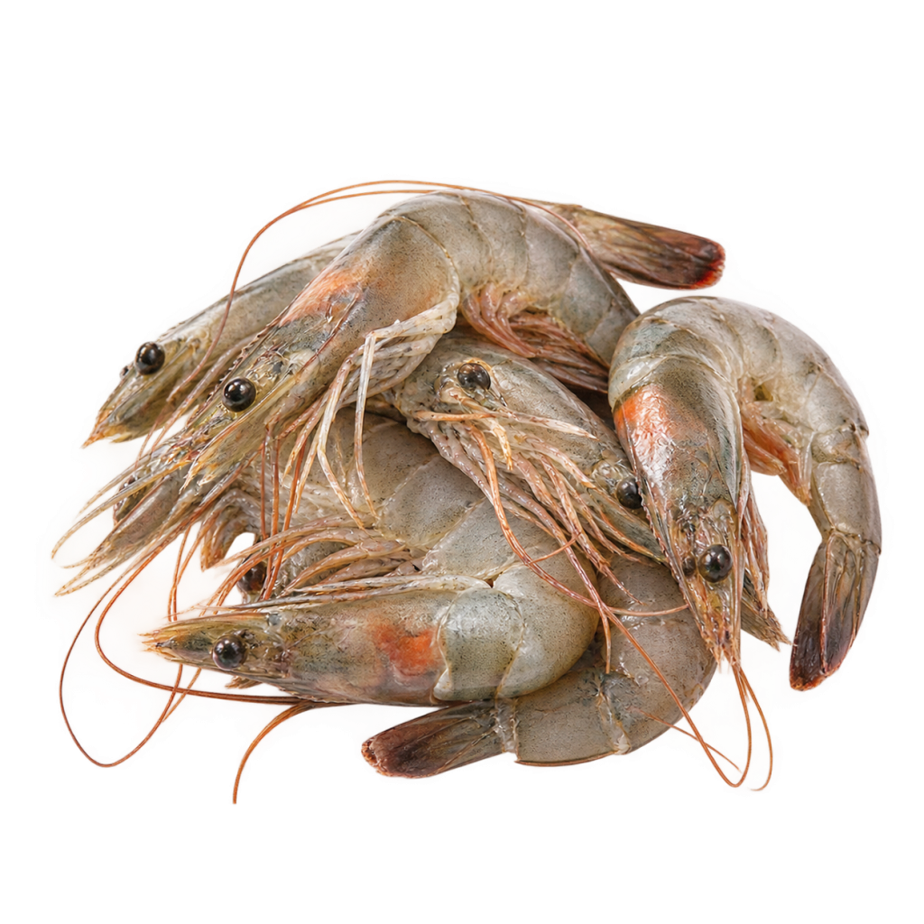 Camarones sin pelar