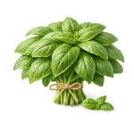 Базилік (пучок)
