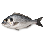 Дорадо