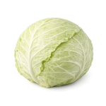 Капуста