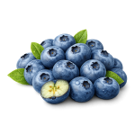Лохина