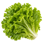Листя салату