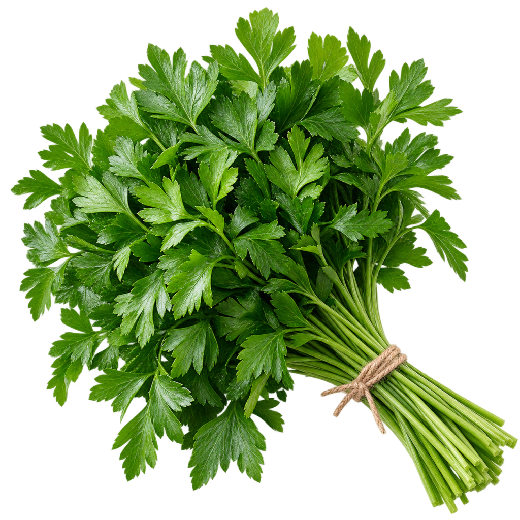 Parsley (bunch)
