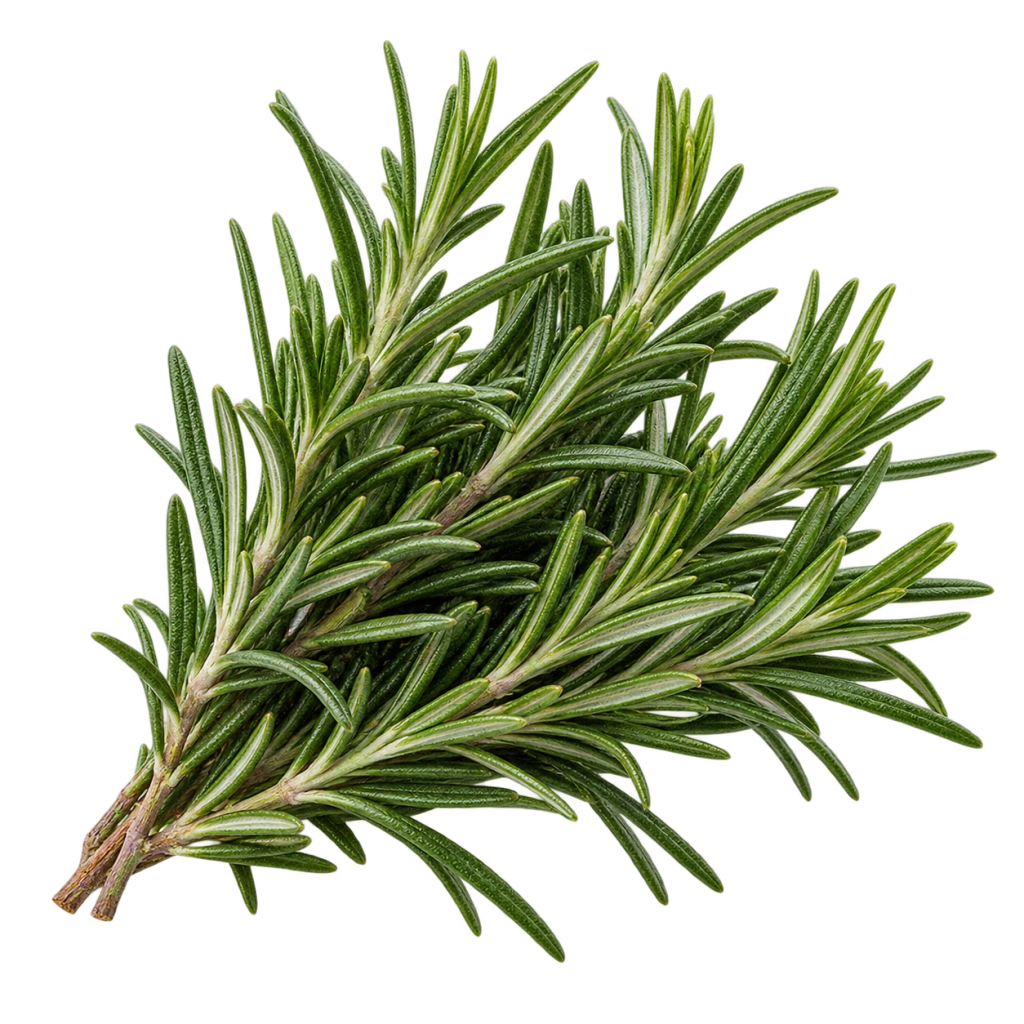 Rosemary