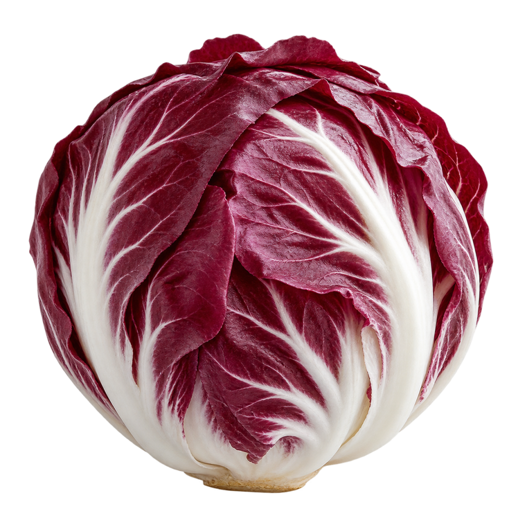 Radicchio